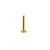 Gold PVD Labret Pin 4mm Plate 1,2 mm