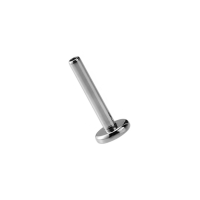Titan Internal Thread Labret 4er Platte 1,2x6mm