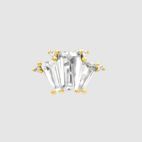 Titan mit 14K  Internal Aufsatz w stones