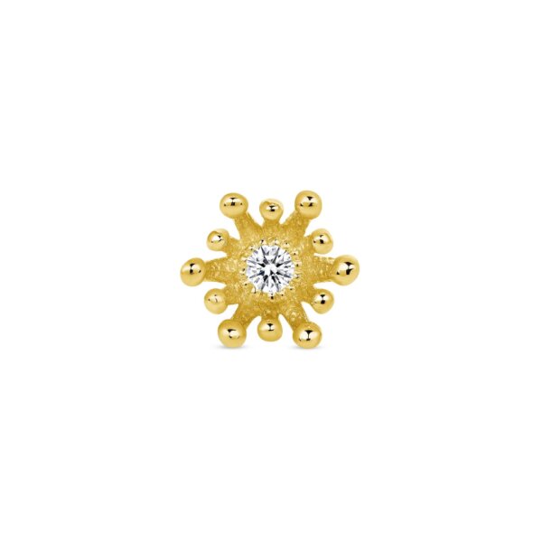 Titan mit 14K  TL Aufsatz Stern w one stone