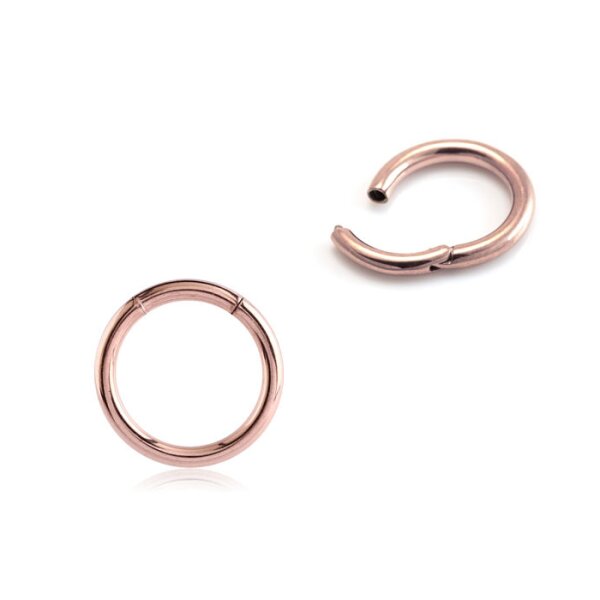 Hinged Segment Ring 1.2x8